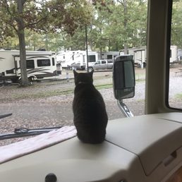 Stella approved of the view.