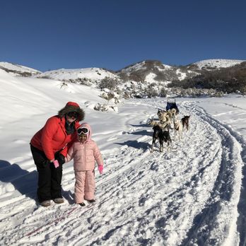 Bear Ridge Adventures - Great photo opportunity when the sled was being turned around. - Sledding Near Me - Coalville, Utah Bear Ridge Adventures - Great photo opportunity when the sled was being turned around. - Sledding Near Me - Coalville, Utah