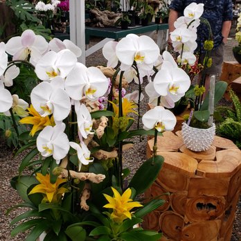 Cal Pacific Orchid Farm - Nurseries & Gardening Near Me - Encinitas, California Cal Pacific Orchid Farm - Nurseries & Gardening Near Me - Encinitas, California