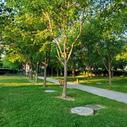 O'Toole Elms Park - Trees/grassy area