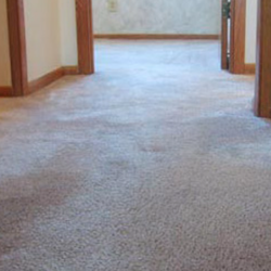 Baby Safe Carpet & Upholstery Cleaning - After carpet restretching