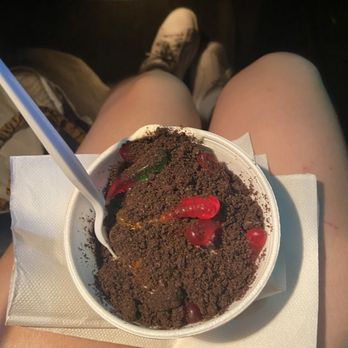 Ritter's Frozen Custard - worms and dirt sundae - Ice Cream & Frozen Yogurt Near Me - Port Orange, Florida