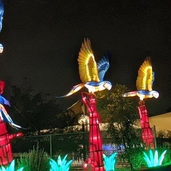 Zoolights - Colorful illuminated bird sculptures with wings in yellow, blue, and white are displayed outdoors at night, mounted on red structures with green plants at the base. - Zoos Near Me - Phoenix, Arizona