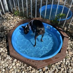 Petas Bea Arthur Dog Park