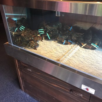 Red Lobster - There's enough for our lunch! - Seafood Near Me - Salem, Oregon Red Lobster - There's enough for our lunch! - Seafood Near Me - Salem, Oregon