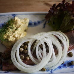 Mellem Jyder - Marineret Sild