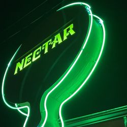 Nectar Lounge
