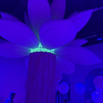Bubble Planet - Art Space Rentals Near Me - Doraville, Georgia