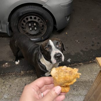 Las Preñas - This little buddy walked up to use for nibbles of the empanadas. Super sweet - Bars Near Me - San Juan, Puerto Rico