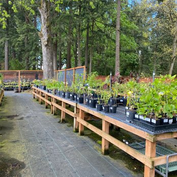 Sebright Gardens - Nurseries & Gardening Near Me - Salem, Oregon