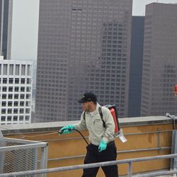 Gladiator Pest Control - Treating commercial property for general pests.