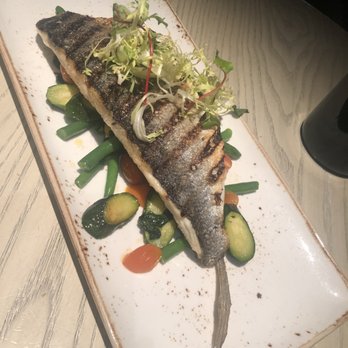 Zucca - Branzino - Italian Near Me - Coral Gables, Florida Zucca - Branzino - Italian Near Me - Coral Gables, Florida