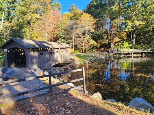 Stanley Park by null