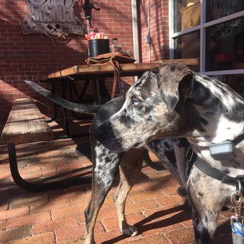 SoSoBa - Dog friendly patio for friendly dogs - Cocktail Bars Near Me - Phoenix, Arizona SoSoBa - Dog friendly patio for friendly dogs - Cocktail Bars Near Me - Phoenix, Arizona