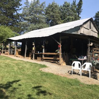 Buffy's Blueberries - a barn with tables and chairs - Community Gardens Near Me - Moneta, Virginia