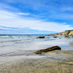 Scripps Coastal Reserve - Scripps Coastal Reserve