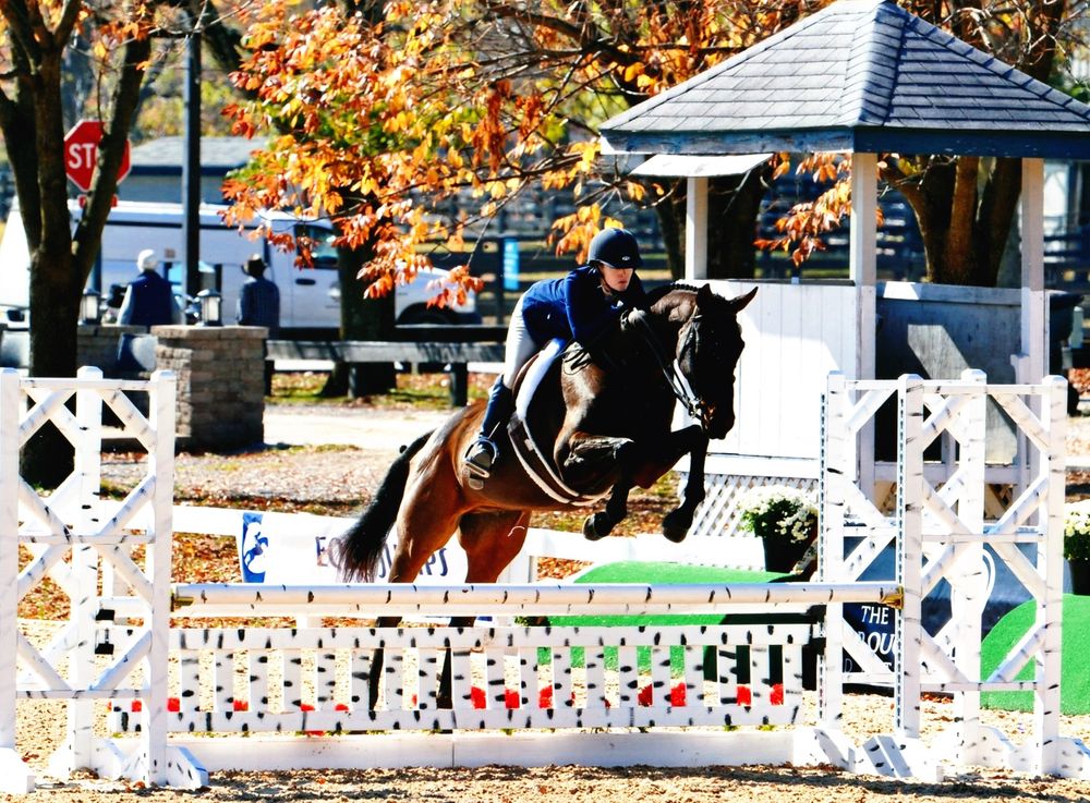 middleburg riding boots
