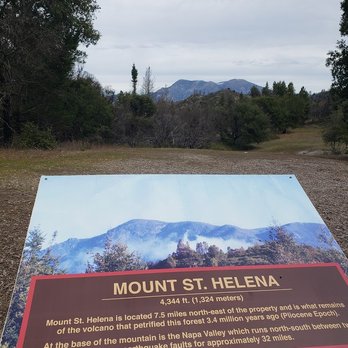 The Petrified Forest - Mount Saint Helena NOT mount st helens 1980. Get that straight! - Parks Near Me - Calistoga, California The Petrified Forest - Mount Saint Helena NOT mount st helens 1980. Get that straight! - Parks Near Me - Calistoga, California