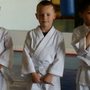 Photo of Okinawa-Te Karate