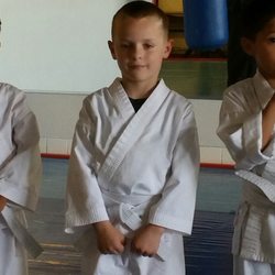 Okinawa-Te Karate