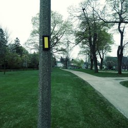 Union Park - Ice Age trail marker