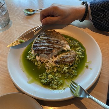 Meridian - Some fish dish with some green sauce that gave it the perfect kick to it. - New American Near Me - Dallas, Texas Meridian - Some fish dish with some green sauce that gave it the perfect kick to it. - New American Near Me - Dallas, Texas
