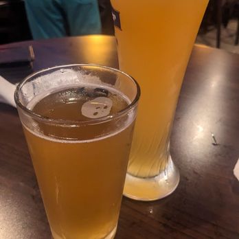 Jungle Prada Tavern - Hefeweiser and wheat beers - Pubs Near Me - Saint Petersburg, Florida