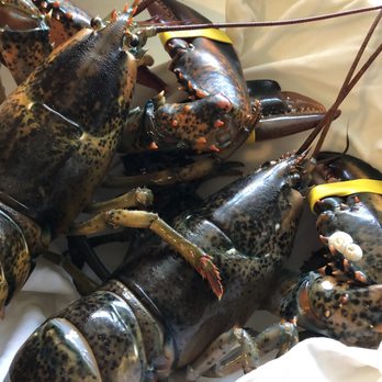 H Mart - Diamond Bar - Two Live Maine Lobsters - apx 1 1/2 lbs each - Grocery Near Me - Diamond Bar, California