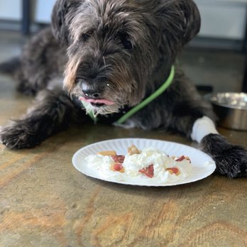 West Shore Coffee Bar - pupachino! he doesn't know what hit him lol - Coffee & Tea Near Me - Warwick, Rhode Island