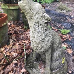 Statue I had to have.