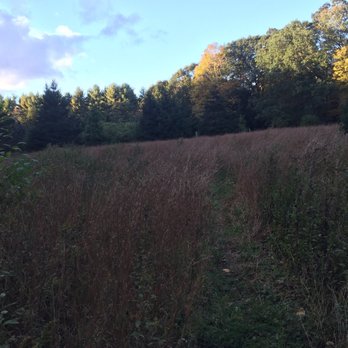 Aspetuck Valley Trail - A meadow - Hiking Near Me Aspetuck Valley Trail - A meadow - Hiking Near Me