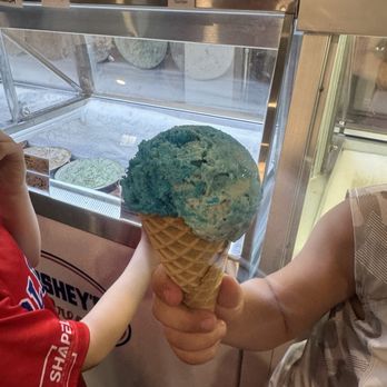 The Ice Creamery - Blue Panda - Ice Cream & Frozen Yogurt Near Me - Oakdale, Pennsylvania