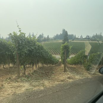 Tumwater Vineyard - Wine Tasting Room Near Me - West Linn, Oregon Tumwater Vineyard - Wine Tasting Room Near Me - West Linn, Oregon