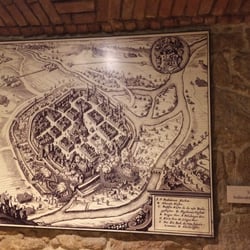 Uctívaný Velbloud - Old Plzen
