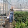 Photo of Dutch Heritage Garden Center