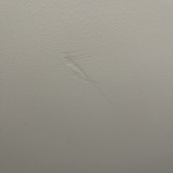 Ashley HomeStore - Another damage