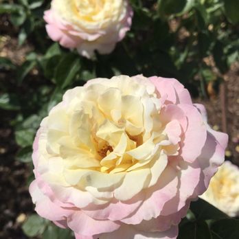 Lauritzen Gardens - Venues & Event Spaces Near Me - Omaha, Nebraska