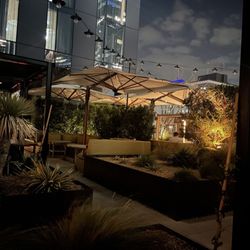 Outside rooftop patio