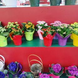 Floral Department