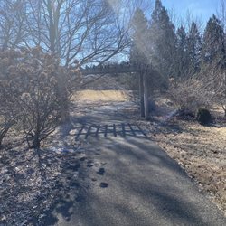 Quiet Garden