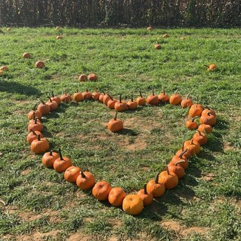 WIGHTMAN FARMS - Updated February 2026 - 380 Photos & 199 Reviews ...