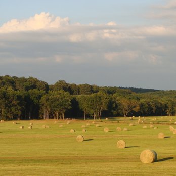 Riley Cain - 37 North Realty Group - Ranches and Farms For Sale in Southern Missouri Ozarks - Real Estate Agents Near Me - Mountain Grove, Missouri Riley Cain - 37 North Realty Group - Ranches and Farms For Sale in Southern Missouri Ozarks - Real Estate Agents Near Me - Mountain Grove, Missouri