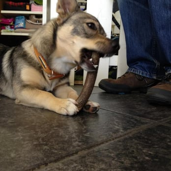 Nature & Nurture Pet Store - Pet Stores Near Me - Glenageary, D Nature & Nurture Pet Store - Pet Stores Near Me - Glenageary, D