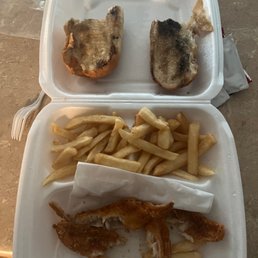 Thought I was taking this to lunch I think tf not