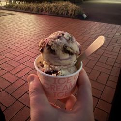 Duck Island Ice Cream - Lamington ice cream