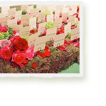 Papineau Calligraphy - Romantic hand-lettered placecards - Calligraphy Near Me - Oakland, California Papineau Calligraphy - Romantic hand-lettered placecards - Calligraphy Near Me - Oakland, California