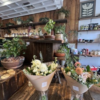The Barista Botanist - Cafes Near Me - San Diego, California