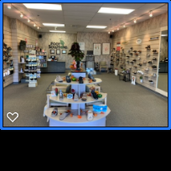 Foot Solutions Naples