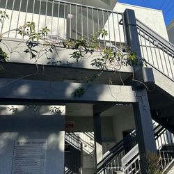 Honey Waxing Brentwood - Go up the stairwell to the 2nd floor in the 814 South Westgate building