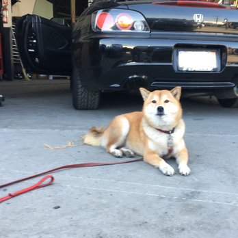 TL Autobody - The guys were super cool to my doge, too! - Body Shops Near Me - South El Monte, California